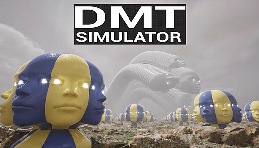 DMT Simulator