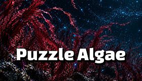 Puzzle Algae
