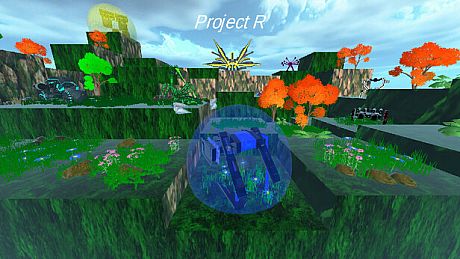 Project R Game