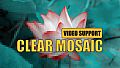 Clear Mosaic - Video support