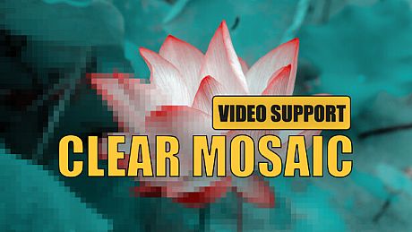 Clear Mosaic - Video support DLC