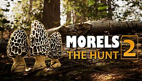 Morels: The Hunt 2