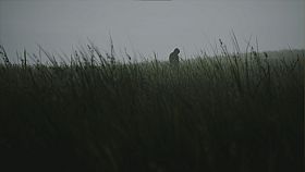 Lushfoil Photography Sim