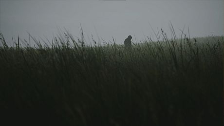 Lushfoil Photography Sim Game