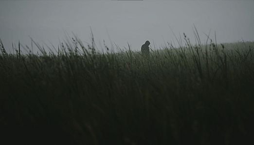 Lushfoil Photography Sim