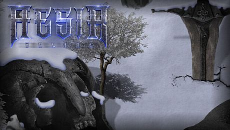 AESIR Online Game