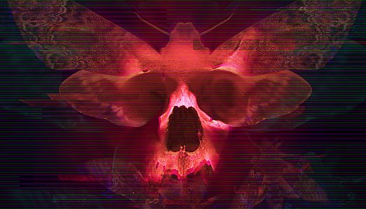 Transient: Extended Edition