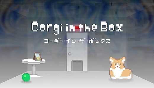 Corgi in the Box