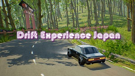 Drift Experience Japan Game