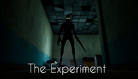 The Experiment