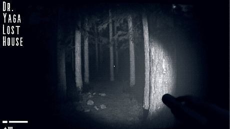 Dr. Yaga Lost House Game