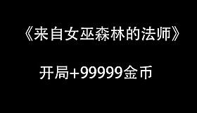 来自女巫森林的法师-开局+99999金币DLC