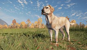 theHunter: Call of the Wild - Labrador Retriever