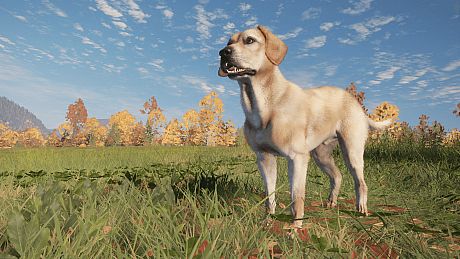 theHunter: Call of the Wild - Labrador Retriever Bundle