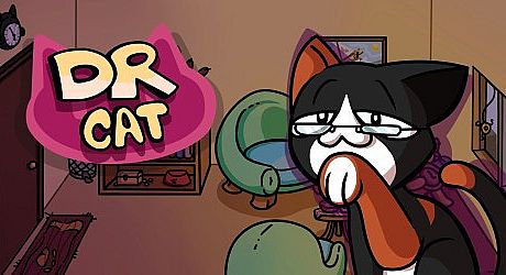 Doctor Cat Game
