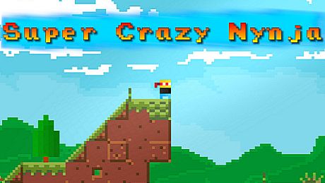 Super Crazy Nynja Game