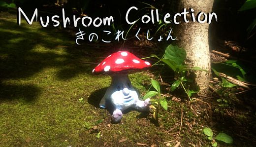 きのこれくしょん