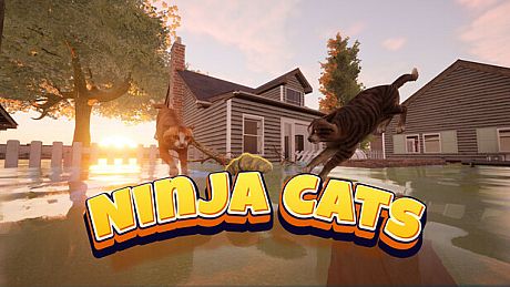 Ninja Cats Game