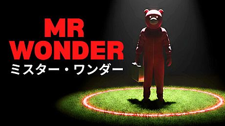Mr Wonder Game