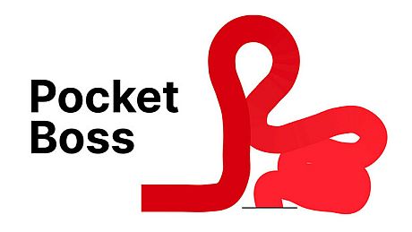 Pocket Boss Game