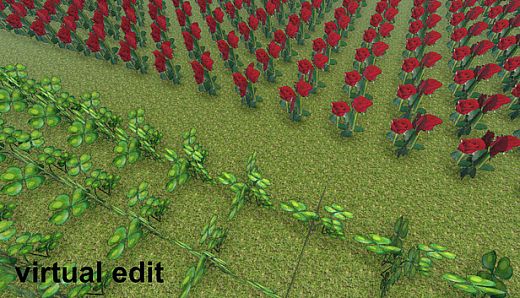 virtual edit