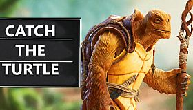 Catch the Turtle