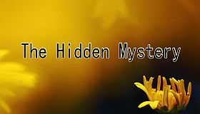 The Hidden Mystery