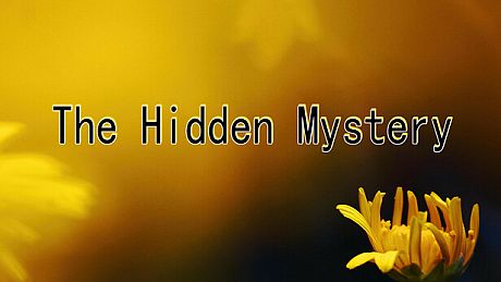 The Hidden Mystery Game