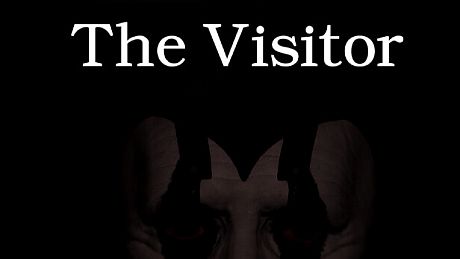 The Visitor Game