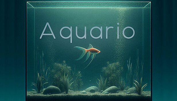 Buy Aquario