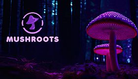 Mushroots