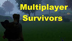 Multiplayer Survivors