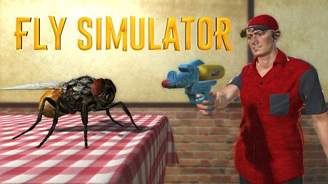 Fly Simulator Game