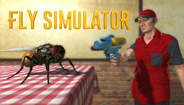 Buy Fly Simulator