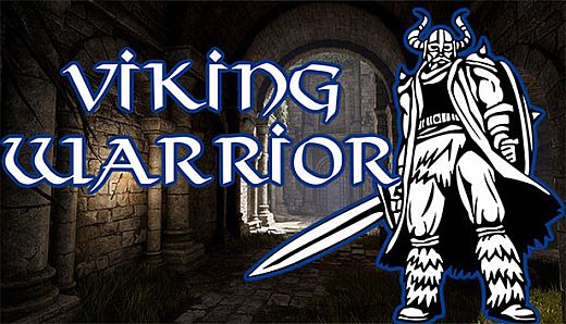 Viking Warrior