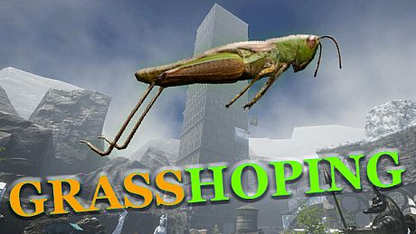 Grasshoping Game