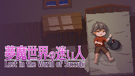 Lost in the World of Succubi Game