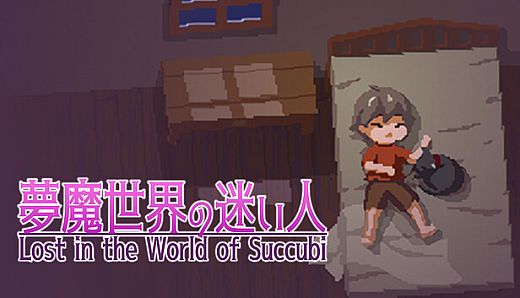 Lost in the World of Succubi