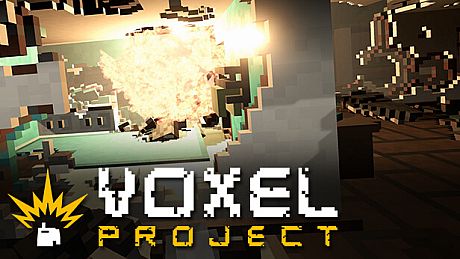 Voxel Project VR Game