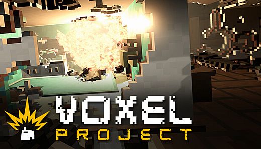 Voxel Project VR