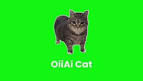 OiiAi Cat