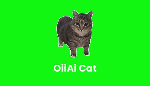 OiiAi Cat