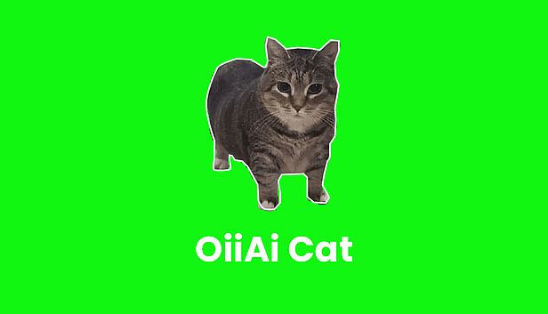 Buy OiiAi Cat