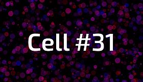 Cell #31