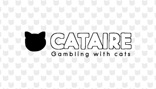 CATAIRE - Gambling with cats