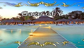 Gaze of Y
