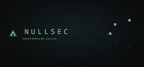 Nullsec: Unauthorized Access Game