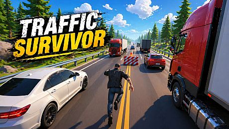 Traffic Survivor