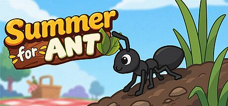 Summer for ANT
