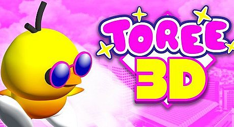Toree 3D